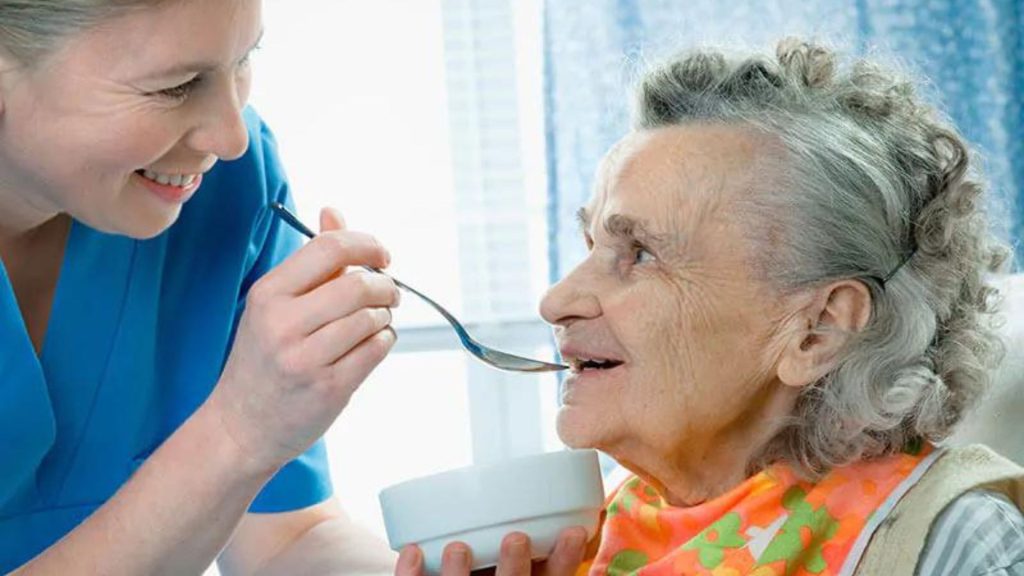 Ảnh: Chương trình đào tạo của ngành Hộ lý tại Đức